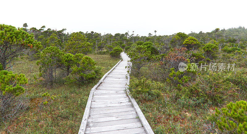 IMG_0210 Uclulet，温哥华岛